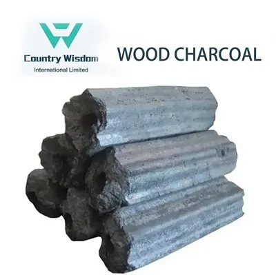 Barbecue pou kwit manje pi bwa chabon